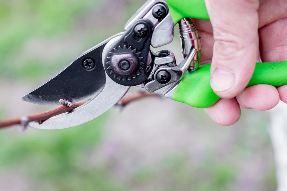 oprema za baštu Fakt 2