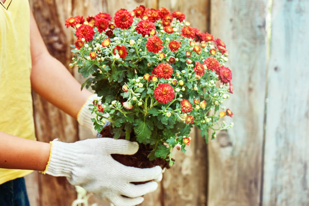 Zaštitne rukavice za baštovane